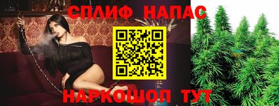 PSILOCYBIN Гагарин