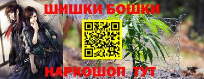 спайс Гатчина
