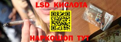 спайс Гатчина