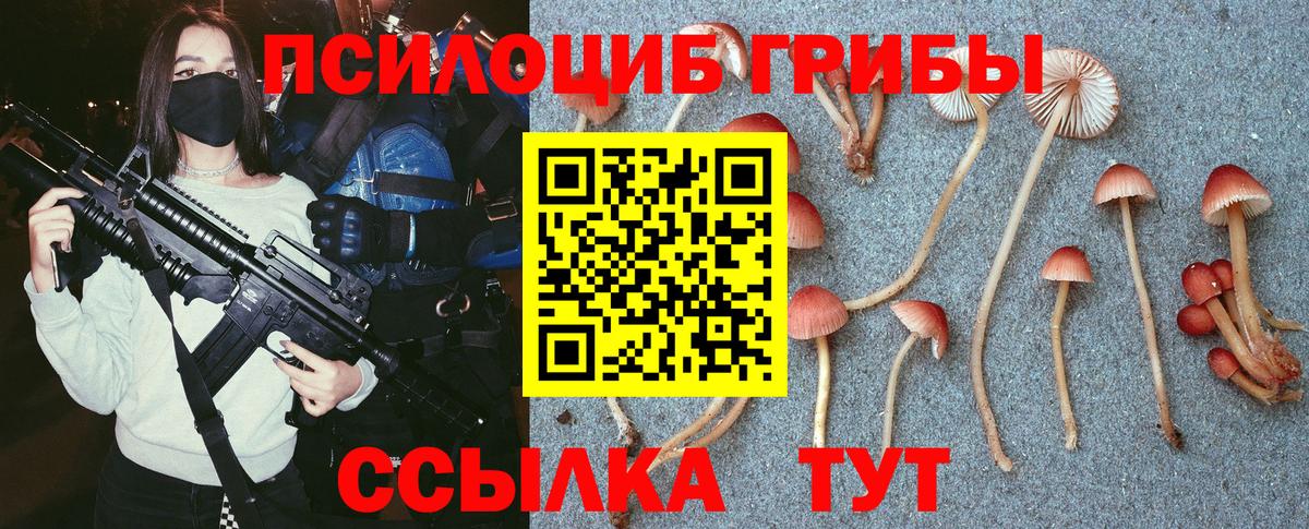 Псилоцибиновые грибы Cubensis Балахна