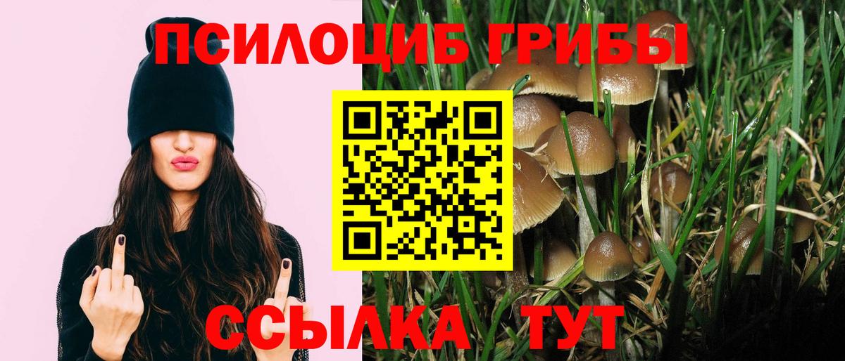 Псилоцибиновые грибы Cubensis  Вход с VPN  Балахна 
